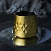 Paragon Stainless Steel Whiskey Taster in Gold Viski®