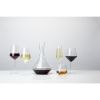 Raye Crystal Angled Champagne Flutes Viski®