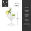 Raye Crystal Angled Gin & Tonic Glasses Viski®