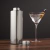 Harrison Element Cocktail Shaker in Silver Viski®
