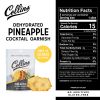 1.3 oz. Dehydrated Pineapple by Collins