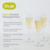 Stemmed Champagne Flutes set of 6 by True