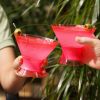 Martini FREEZE™ in Translucent Punch Pink (set of 2) by HOST®