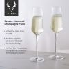 Seneca Crystal Champagne Flutes Viski®