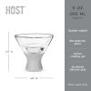 Glass FREEZE™ Martini Glass (set of two) in Gray by HOST®