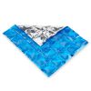 Ice Pack by True