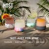 Wine FREEZE™ XL (set of 2) in Blush Tint by HOST®