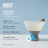 Glass FREEZE™ Martini Glass (set of two) in Gray by HOST®
