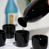 Moga™: 5-Piece Sake Set in Black by True