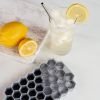 Honeycomb Ice Tray by True