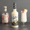 32 oz. Pina Colada Cocktail Mix by Collins