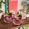 Deco Beau Crystal Lowball Tumblers Viski®
