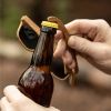 Faux Wood Bottle Opener Sunglasses Foster & Rye™