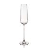 Reserve Julien Crystal Champagne Flute Glasses Viski®