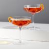 Seneca Faceted Crystal Coupes Viski®