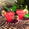 Margarita FREEZE™ in Punch Pink  (set of 2) by HOST®