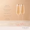 Rose Crystal Champagne Flute Set by Twine®